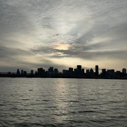 今日はシブい！