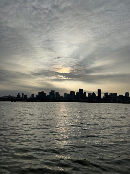 今日はシブい！