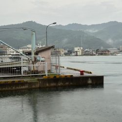 朝マヅメキスゲーム