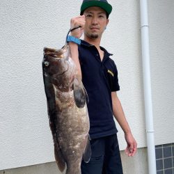 良型のコアラキャッチ