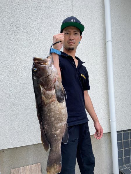 良型のコアラキャッチ