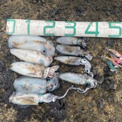 2025 佐渡ヶ島エギング Vol.13【9月20日】