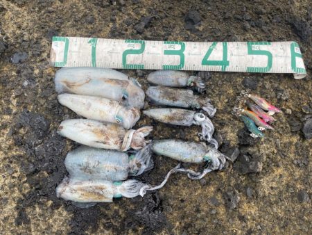 2025 佐渡ヶ島エギング Vol.13【9月20日】