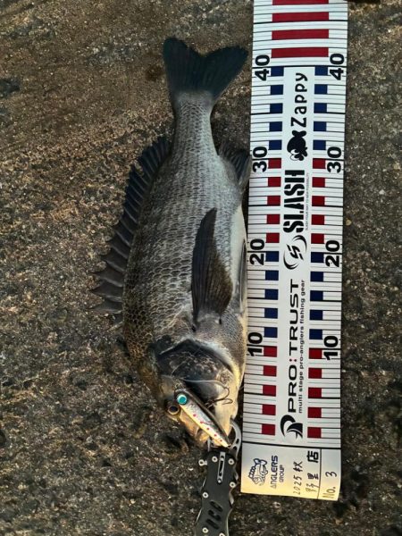 朝1ヒットは気持ちいい！