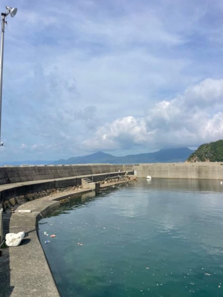 ようやくお持ち帰りサイズゲット‼️