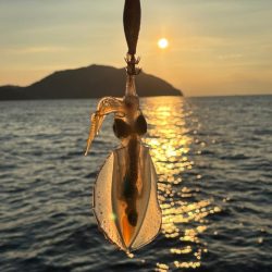 ペットボトルが……