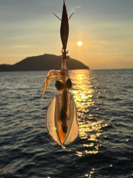 ペットボトルが……