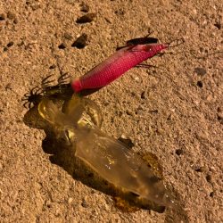 旅行ついでに調査してきました