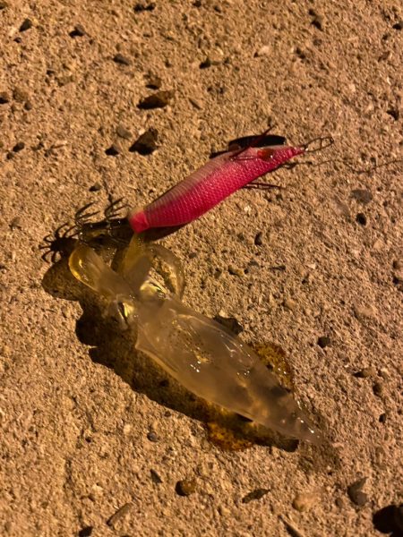 旅行ついでに調査してきました