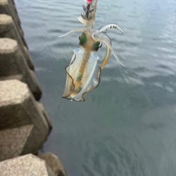 今日も隙間時間に!