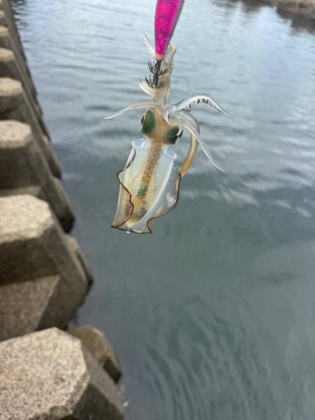 今日も隙間時間に！