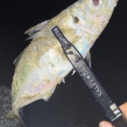 フロートアジング