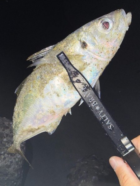 フロートアジング