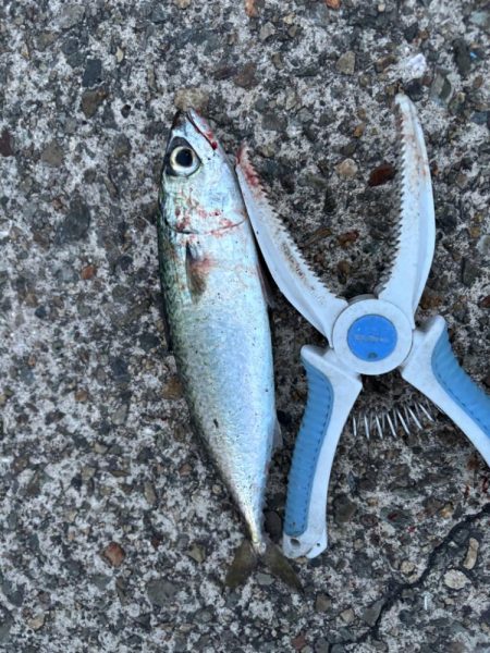 ジグサビキ　35