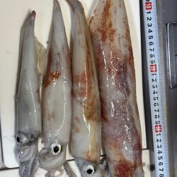 激渋イカメタル🦑