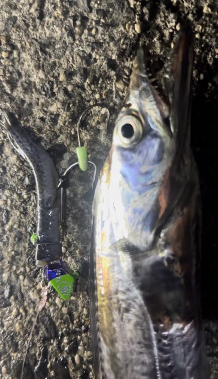 タチウオテンヤ