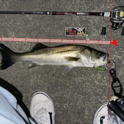 一群ルアー総動員で挑んだけど…