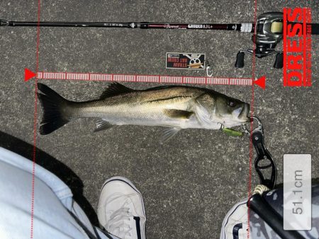 一群ルアー総動員で挑んだけど…