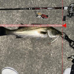 悶絶を耐えれば至福の時！