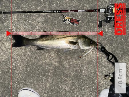 悶絶を耐えれば至福の時！