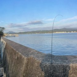 エギング　厳しい………