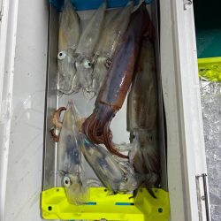 6回目イカメタル