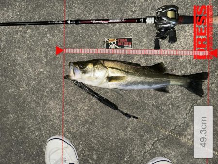 初ジョイクロ70フィッシュ!