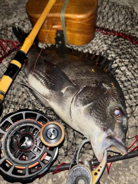 ヘチってきました