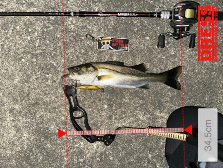 大潮は苦手です…