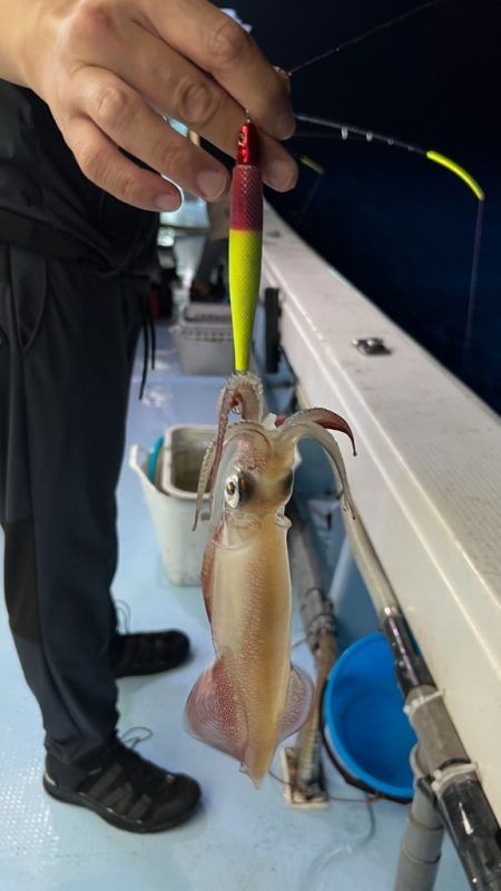 ケンサキイカ/イカメタル