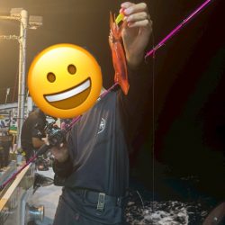 イカメタル&バチコン