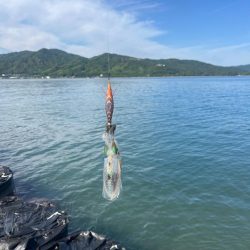 イカポイント探し！