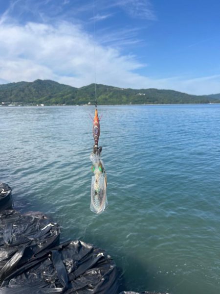 イカポイント探し！