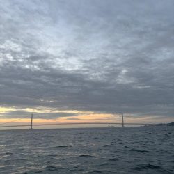 明石からひとつテンヤ　