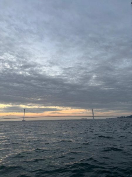 明石からひとつテンヤ　