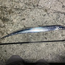 淡路島遠征ー！