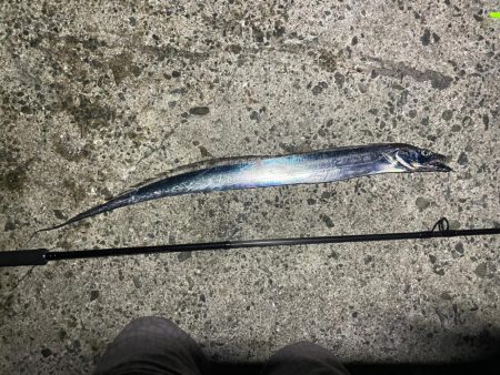 淡路島遠征ー！