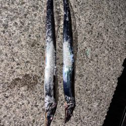 限定的なつりやね