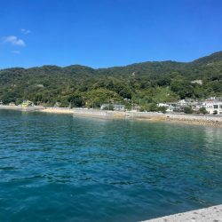 やっぱり小さい………