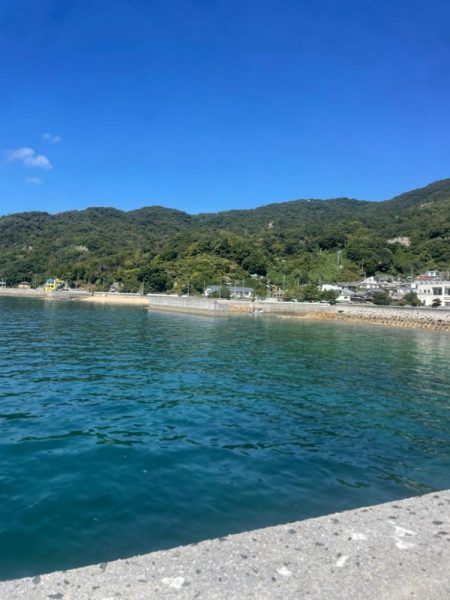 やっぱり小さい………