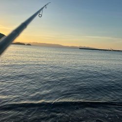 フルムーンに誘われて