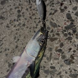 ライトショアジギング