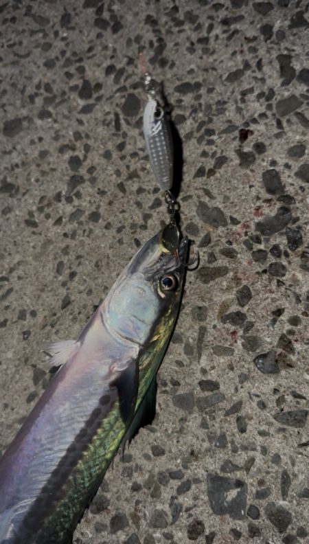 ライトショアジギング