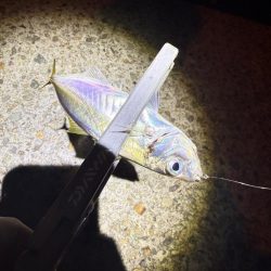 隣にはまさかのYouTuberさん達！？