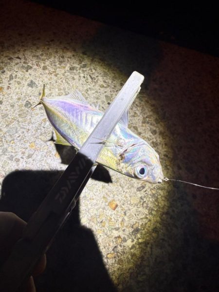 隣にはまさかのYouTuberさん達！？