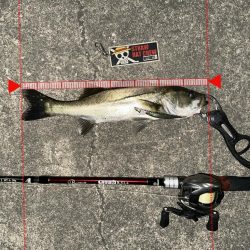 一撃必殺！良きルアーならバスルアーとかは関係ない