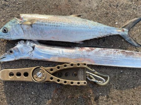 せっかくの、、