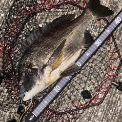 ヘチってきました