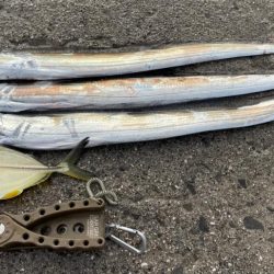 かけれず、、、