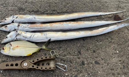 かけれず、、、